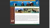 A Cheval en Corse - Randonnée équestre - Découvrez la Corse a cheval