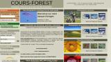 COURS-FOREST : Banque d'images