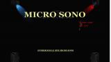 Micro Sono: Animation de vos soirées personnelles et professionnelles