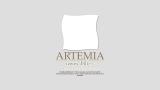 Agence immobiliere Arcachon - Immobilier Arcachon - Artemia Immobilier