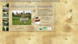 Randonnée avec un âne en Bourgogne du sud