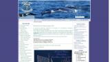L'info des cetaces