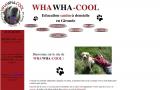 Whawhacool education canine a domicile en Gironde