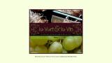 Le Vert et le Vin - Le site de vente en ligne de vin bio