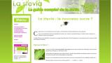 Stevia rebaudiana : le guide complet sur la stevia rebaudiana