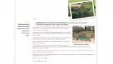 Déco Verte création réalisation de jardins japonais provençaux bassins rocailles enrochement ou murs